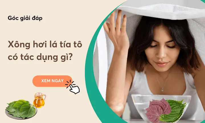 xông lá tía tô có tác dụng gì