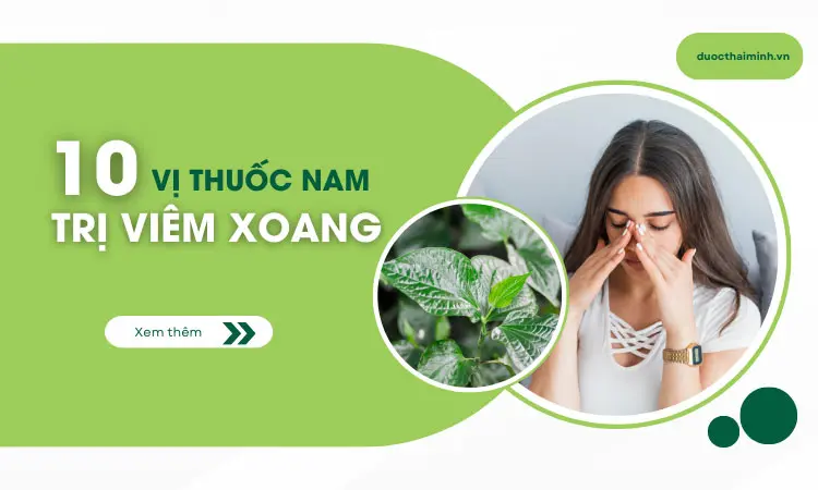 Khám phá những cây thuốc đặc trị viêm xoang mũi