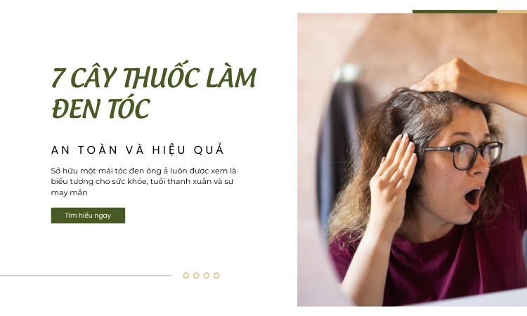 cây thuốc làm đen tóc