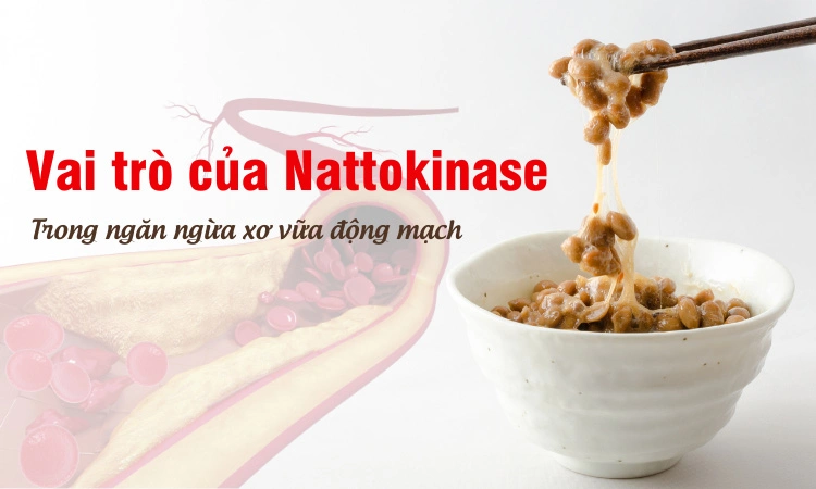 Vai trò của Nattokinase đối với sức khỏe