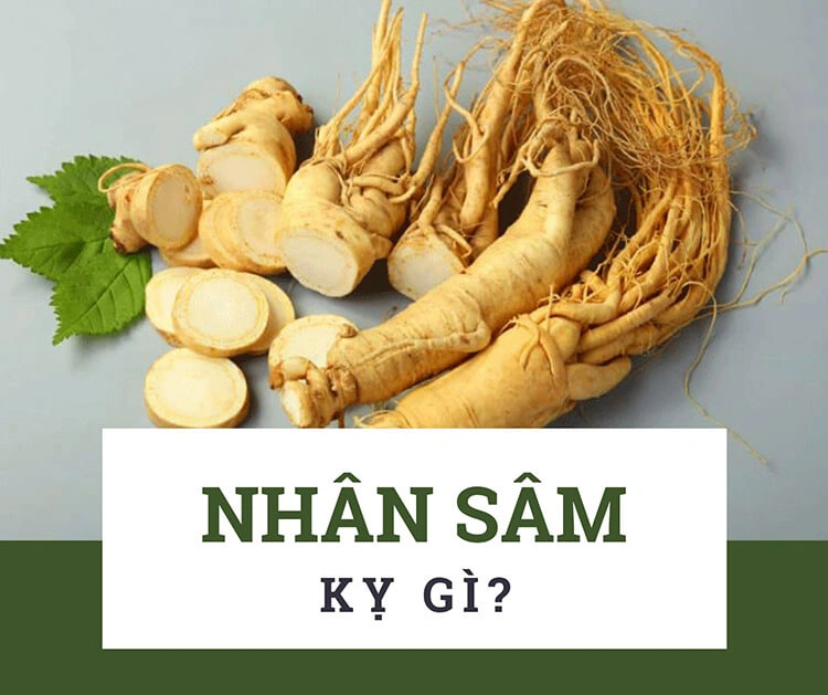 nhân sâm kỵ gì