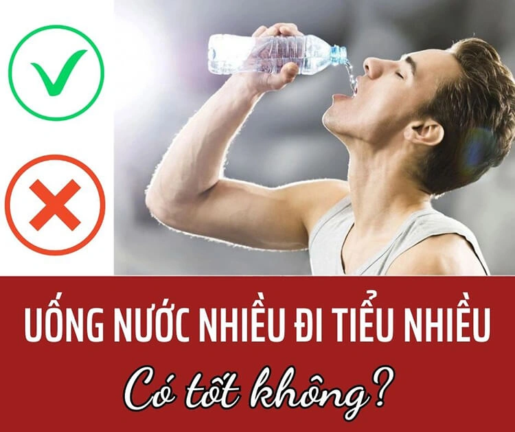 uống nhiều nước đi tiểu nhiều có tốt không