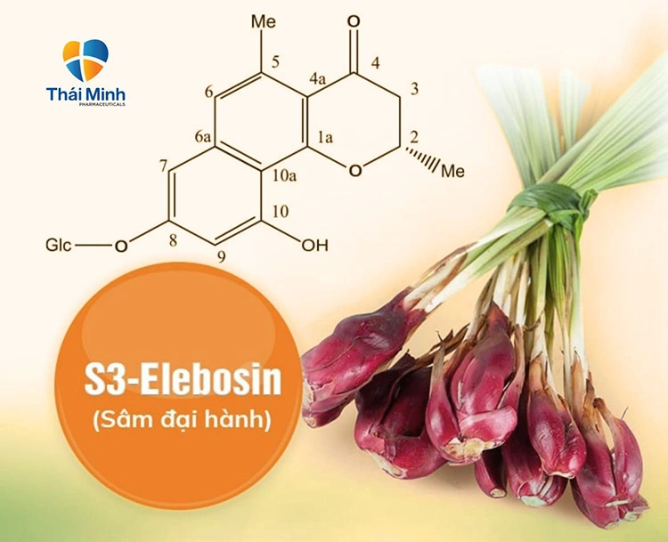 Tác dụng dược lý của S3-Elebosin