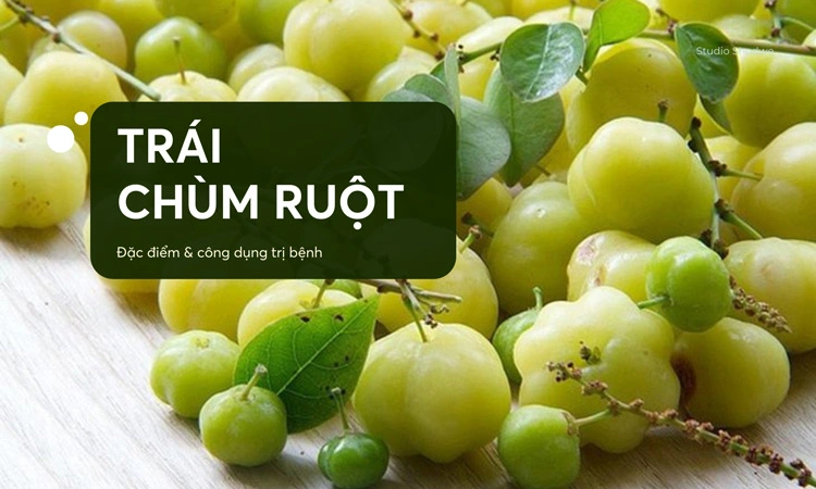 trái chùm ruột