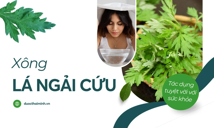 xông lá ngải cứu có tác dụng gì