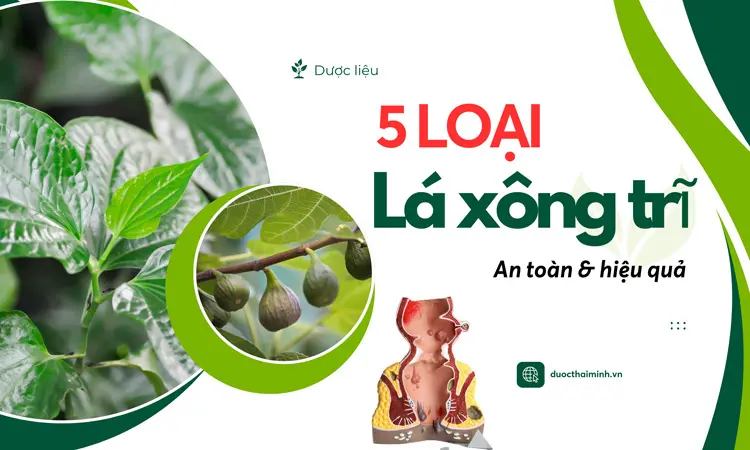 5 loại lá xông trĩ nhà ai cũng có!!!