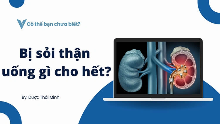 bị sỏi thận uống gì cho hết