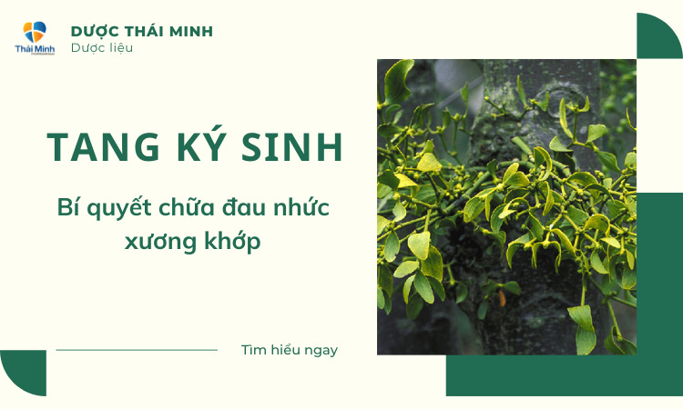 tang ký sinh