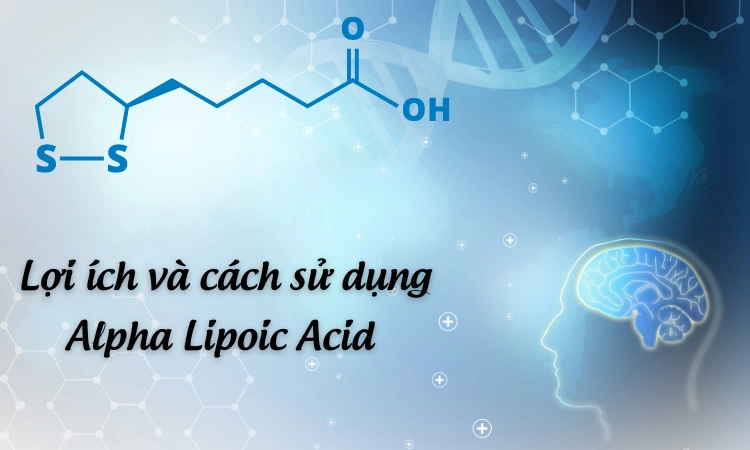 Lợi ích và cách sử dụng Alpha Lipoic Acid