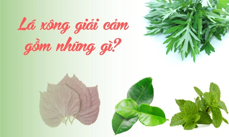 lá xông giải cảm gồm những gì