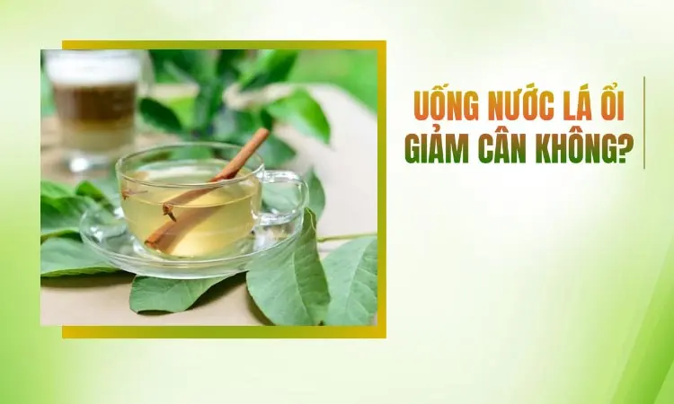 Tìm hiểu uống nước lá ổi có giảm cân hay không?