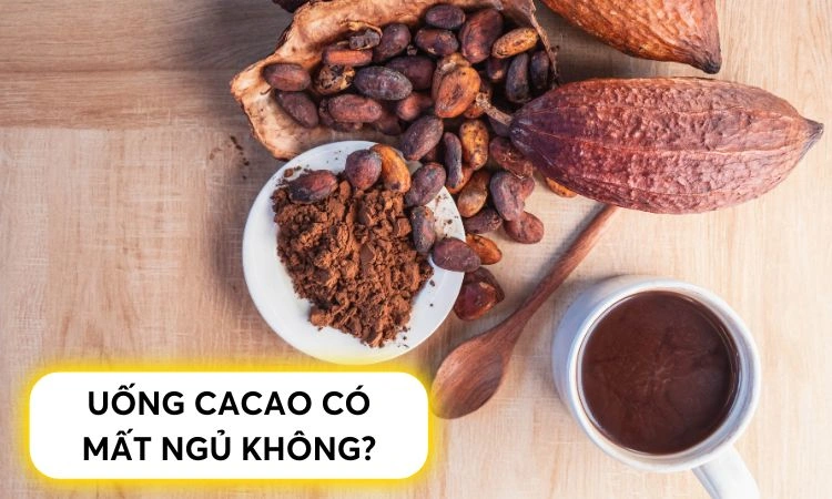 Giải đáp có nên uống ca cao trước khi đi ngủ? 