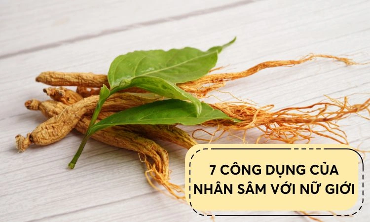 tác dụng của nhân sâm với phụ nữ