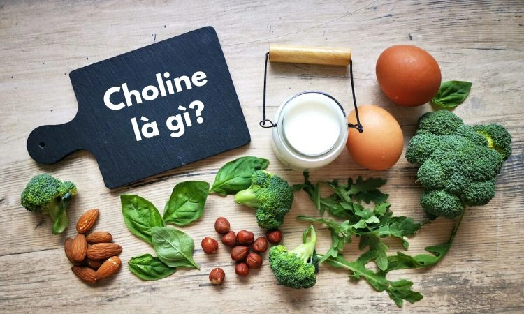 Choline hoạt chất cần thiết để duy trì sự sống hàng ngày